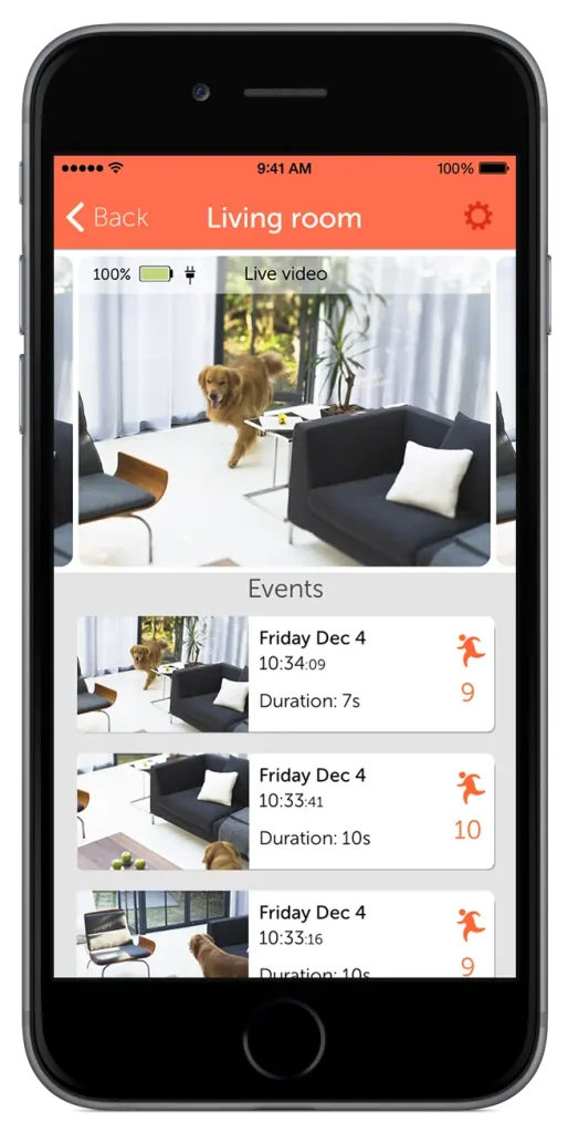 Manything phone display